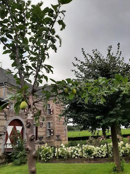 Ferienwohnung Het Sibberhuuske Valkenburg aan de Geul Exterior foto